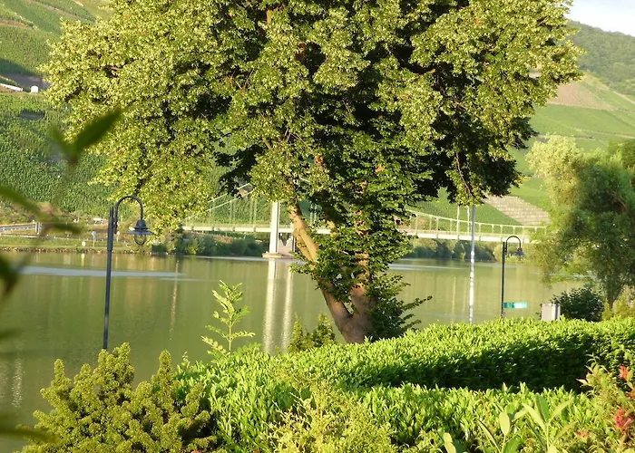 ホテル Hotel-garni-sonnenlay ベルンカステル・クース